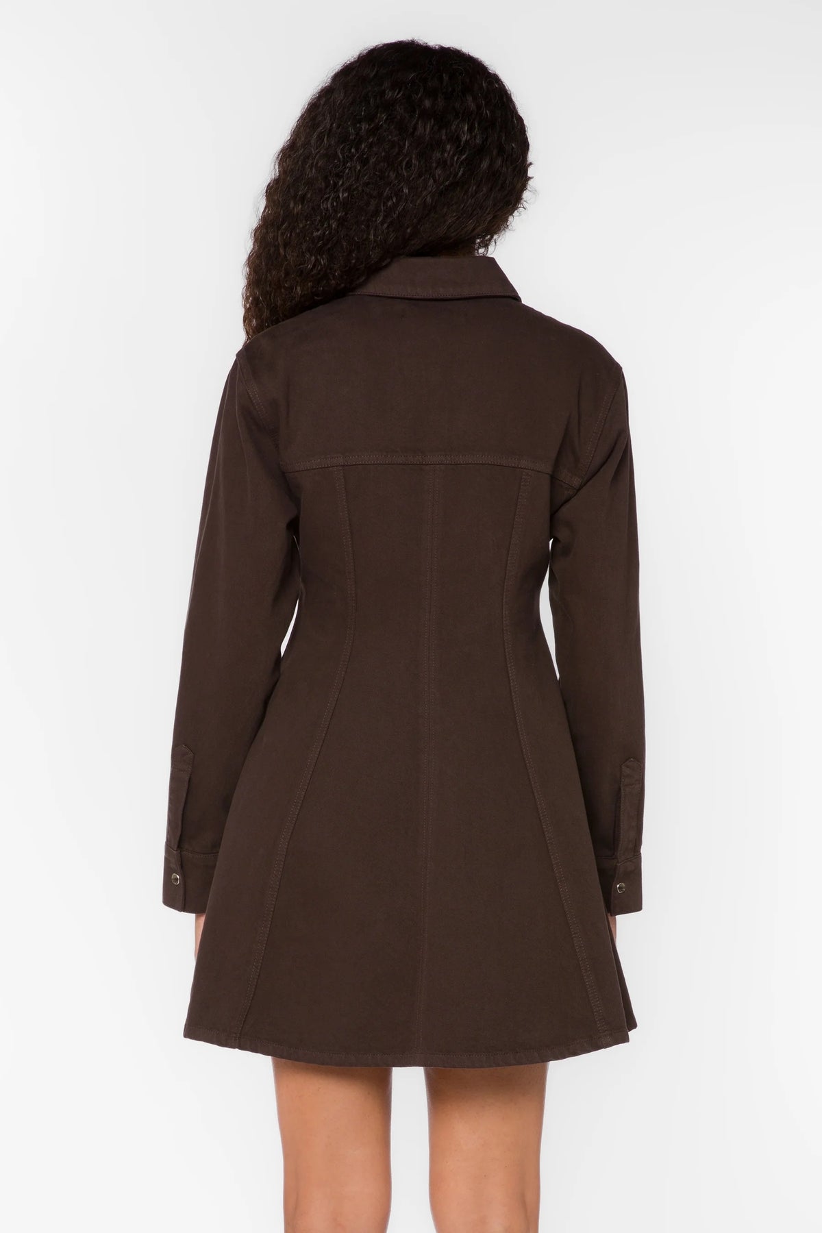 Long sleeve chocolate-brown a-line dress.